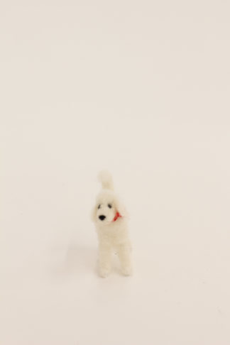 Hund in Weiß